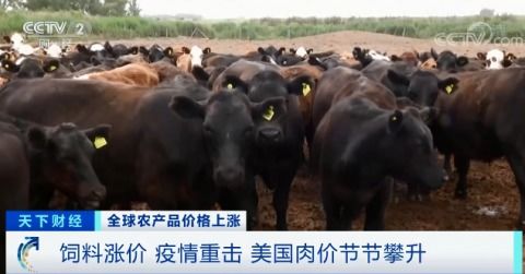 全球食品價格持續(xù)上漲,有地方漲幅驚人,意味著什么