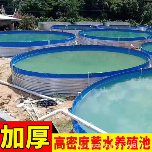 支架水池 戶外可移動(dòng)水池水產(chǎn)養(yǎng)殖池可折疊pvc魚(yú)箱支架養(yǎng)魚(yú)池