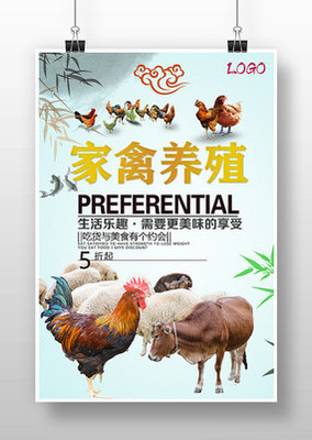 家禽養(yǎng)殖海報(bào)