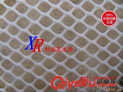 塑料網(wǎng) 批發(fā)家禽網(wǎng) 養(yǎng)殖網(wǎng) 養(yǎng)雞網(wǎng) 攔雞網(wǎng) 尼龍網(wǎng) 塑料網(wǎng) 防鳥網(wǎng)漁網(wǎng)圍網(wǎng)-沭陽縣新河鎮(zhèn)軒瑞花木場(chǎng)提供塑料網(wǎng) 批發(fā)家禽網(wǎng) 養(yǎng)殖網(wǎng) 養(yǎng)雞網(wǎng) 攔雞網(wǎng) 尼龍網(wǎng) 塑料網(wǎng) 防鳥網(wǎng)漁網(wǎng)圍網(wǎng)的相關(guān)介紹、產(chǎn)品、服務(wù)、圖片、價(jià)格沭陽縣新河鎮(zhèn)軒瑞花木場(chǎng)、綠化苗;果樹苗;種子;盆栽;園藝用品;花盆;水生植物;牧草種子