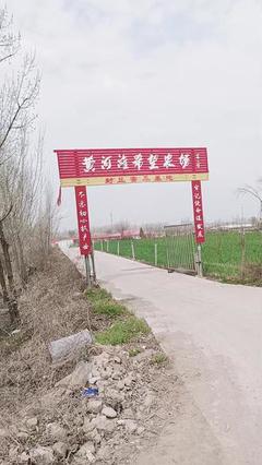 家禽養(yǎng)殖養(yǎng)鵝常見問(wèn)題