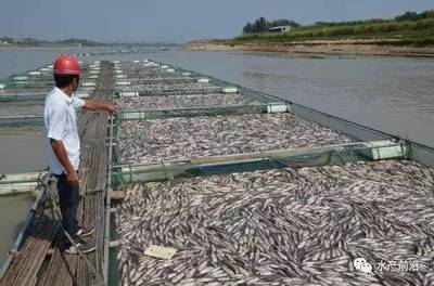 水產(chǎn)養(yǎng)殖業(yè)迎來(lái)洗牌 這6類養(yǎng)殖戶或?qū)⒚媾R盈利困境