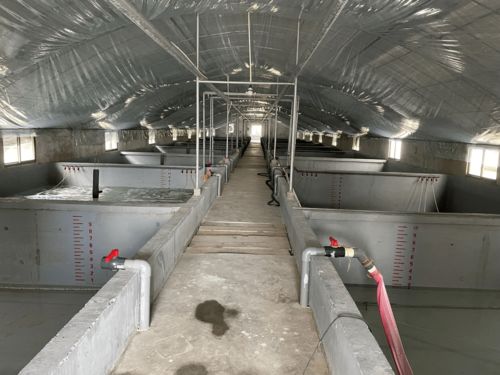 水產(chǎn)養(yǎng)殖污染遠(yuǎn)超工業(yè)，專家呼吁行業(yè)轉(zhuǎn)型