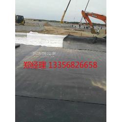 水產(chǎn)養(yǎng)殖防滲膜供應(yīng)廠家——格瑞防滲膜在家禽養(yǎng)殖中的應(yīng)用